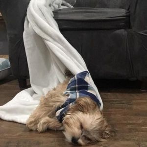 Meet your Posher, Seth